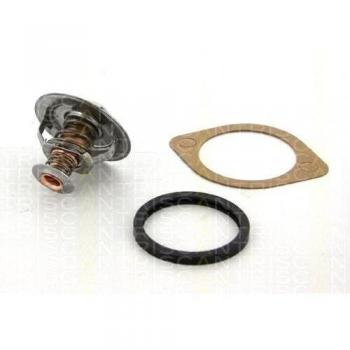 Triscan Termostato 8620 10989