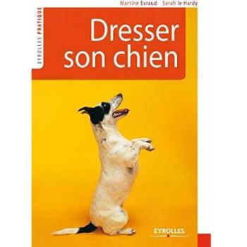 Dresser son chien