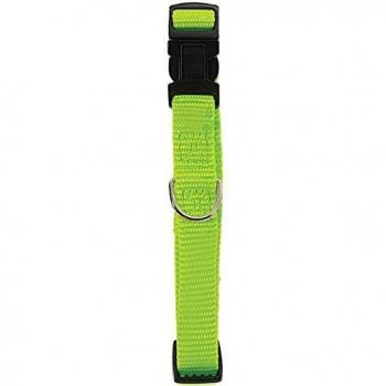 Collier Ajustable en Nylon Anis pour Chien 50-80 cm