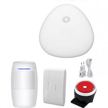 Alarma Inalámbrica para Puertas y Ventanas Sgooway