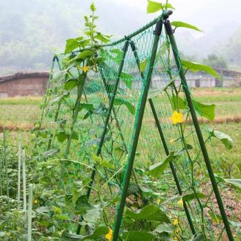 Red de Plantas Vegetales – Sujeción Melón