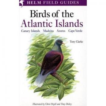 A Field Guide to the Birds of the Atlantic Islands: Canary Islands, Madeira, Azores, Cape Verde