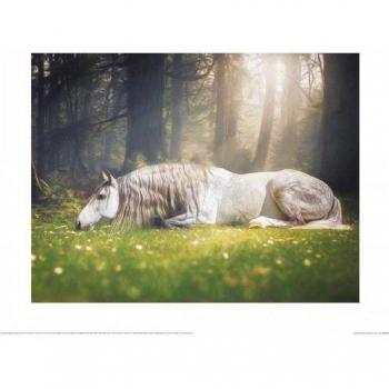 Poster « Impossible Things » par Lisa Saint Dream