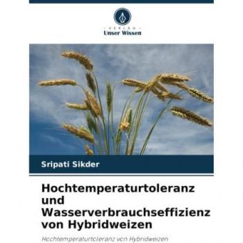 Hochtemperaturtoleranz und Wasserverbrauchseffizienz von Hybridweizen: Hochtemperaturtoleranz von Hybridweizen