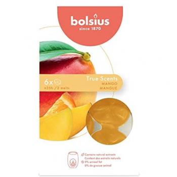 Fragrance Discs Mango True Scents Bolsius 6 pezzi