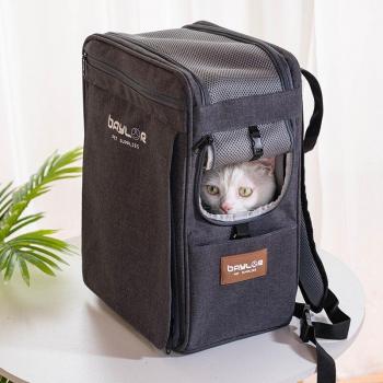 Breathable Cat Dog Travel Carrier Bag