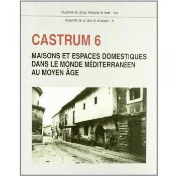 Castrum 6