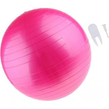 Gym Exercise Ball