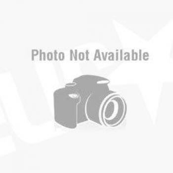HPE Dual Port Festplatte 300 GB