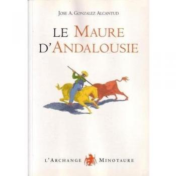 Le Maure d'Andalousie : Les raisons d'une exclusion et la formation d'un stéréotype
