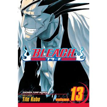 BLEACH 13