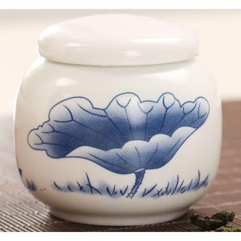 Tetera de Porcelana Blanca “Almacenamiento Pu’er”