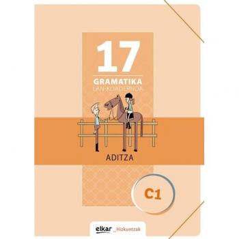 Gramatika Lan-Koadernoa 17 Aditza