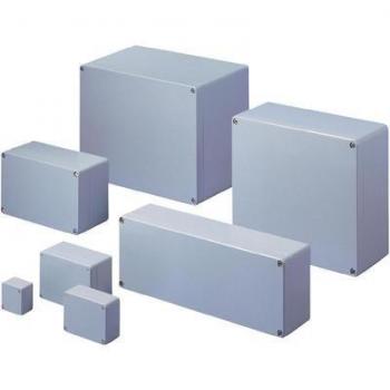Rittal Contenitore Universale GA 9101.210 Alluminio Grigio RAL 7001 1 pz