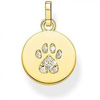 Colgante Medalla de Pata de Gato en Plata con Baño de Oro 18k