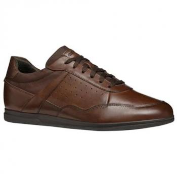 Geox Sneakers U Renan C6003 Marrone