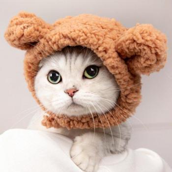 Gorra de Oso para Mascotas