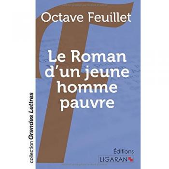 Le roman d'un jeune homme pauvre