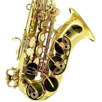 Saxo Soprano Courbe Oqan Modèle OSS-620