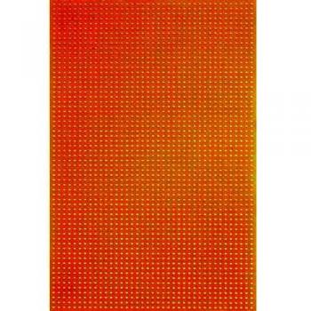 Rademacher WR-Typ 716-5 PCB 160mm x 100mm Phenolic Paper 2.50mm