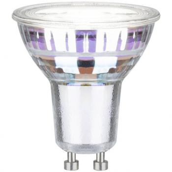 Paulmann Reflektor Eco-Line 1 x 2,5 W