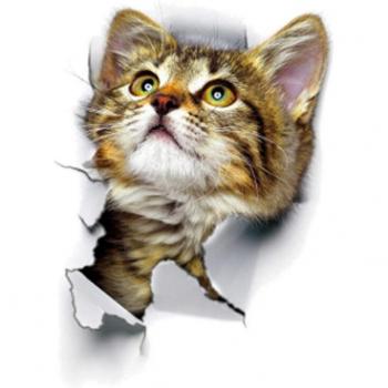 Puppy and Kitten Wall Mural