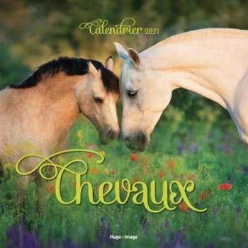 Olivia Debarge Calendrier Mural Chevaux 2021