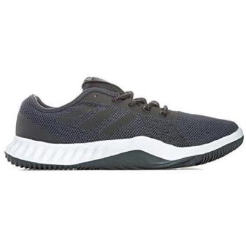 LT Adidas Crazy Train Sneaks