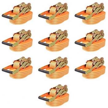VidaXL Cinghie di Ancoraggio con Cricchetto, 10 pezzi, 2 tonnellate, 8mx50mm, arancione