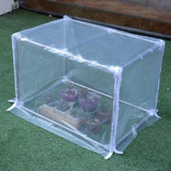 Indoor/Outdoor Mini Greenhouse 58x38cm