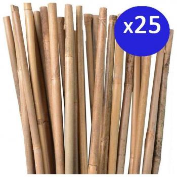 Tuteur en Bambou Naturel Suinga