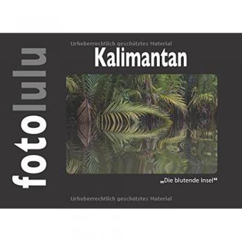 Kalimantan: Die blutende Insel