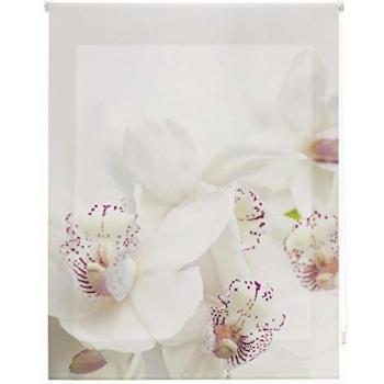 Enrollable Estor Orquídea 150x180