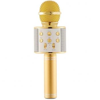 Wireless Karaoke Microphone for Children