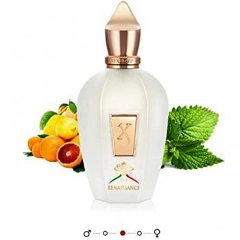 Xerjoff Renaissance 100ml Eau de Parfum