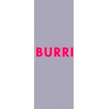 Burri. General Catalogue. Graphic works 1949-1994. Ediz. a colori (Vol. 5)