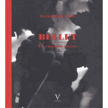 Bellet, le vignoble niçois