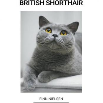 Nielsen, Finn: British Shorthair