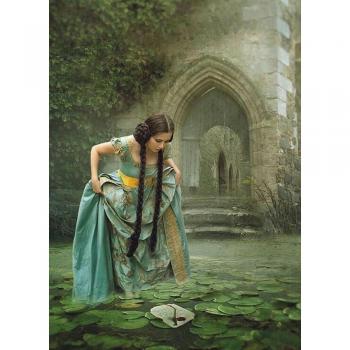 Full Diamond Mosaic Painting 5D Set – 20x30 cm Home Décor Gift