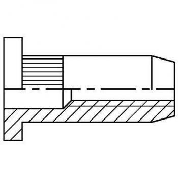 M10 Steel Large Head Knurled Rivet Nut (Box of 100)