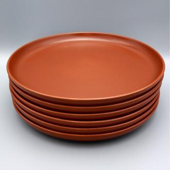 Assiette Circulaire Costa Nova 27,5 cm