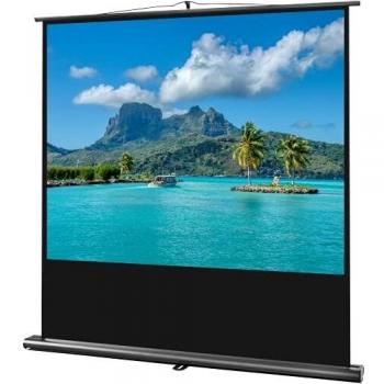 Celexon Ultramobile Professional Projector Screen 98”
