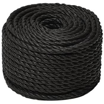 VidaXL Arbeitseisen Seil Schwarz 20 mm 25 m Polypropylen