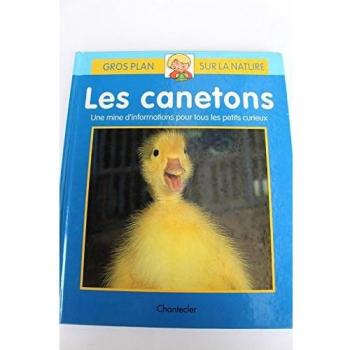 Les Canetons