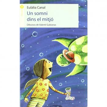 Un somni dins el mitjó