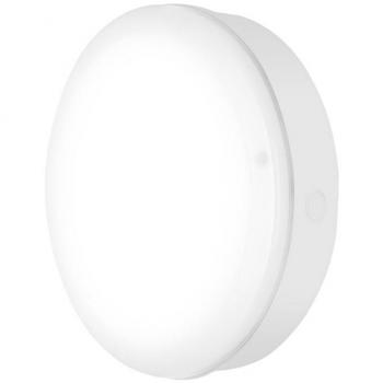 Ledvance Wandleuchte + Deckenleuchte SF BLKH S 250 P 10W