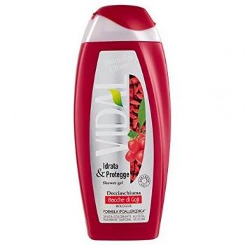 VIDAL D/S BACCHE DI GOJI 250 ML