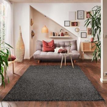 Tapis design épuré noir 160×230 cm