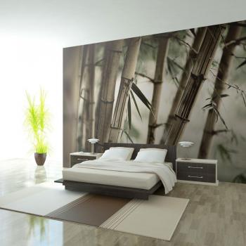 Revêtement mural Forêt de bambous brouillardé 2