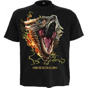 Game of Thrones House of the Dragon